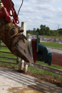 Accu-Bloc 125MM Therapeutic Hoof Blocks